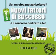 nuovi_fattori_cartolina_concorso_2013_WEB