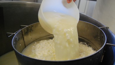 Formaggi latte crudo - area prenestina