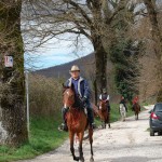 Appuntamento 10:30 presso il Centro Federale Equestre