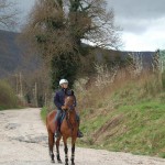 Appuntamento 10:30 presso il Centro Federale Equestre