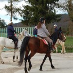 Appuntamento 10:30 presso il Centro Federale Equestre