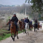 Salita verso Rocca Priora in località di Montefiore