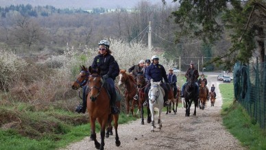 Salita verso Rocca Priora in località di Montefiore