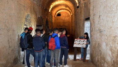 Visite didattiche Bargo Borghese