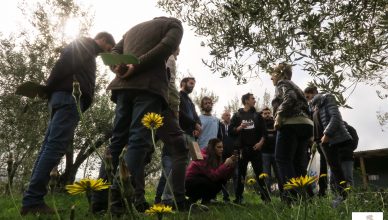 Corso accoglienza turistica