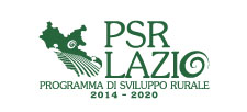 logo-psr